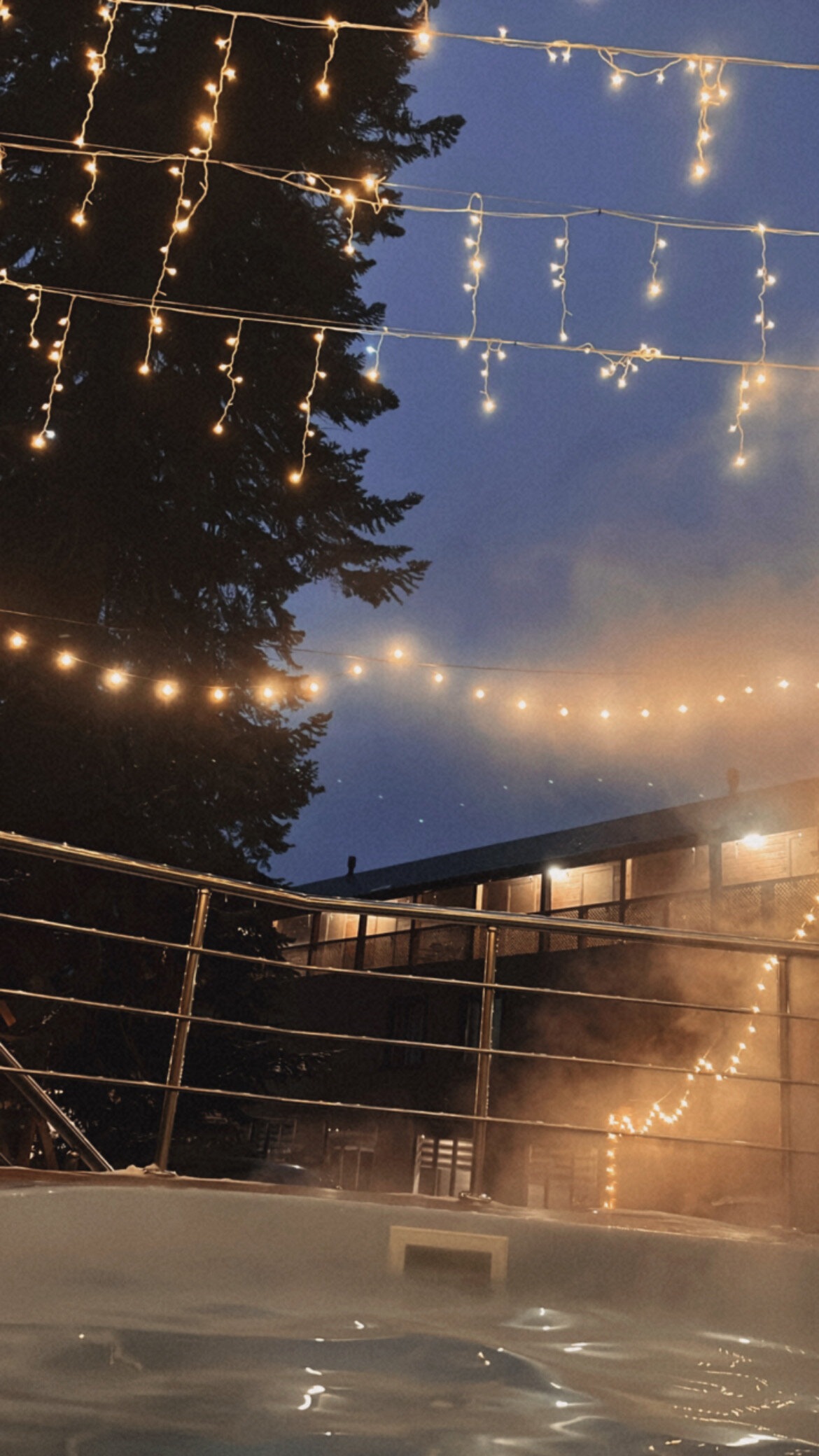 Фото Горная Лаванда