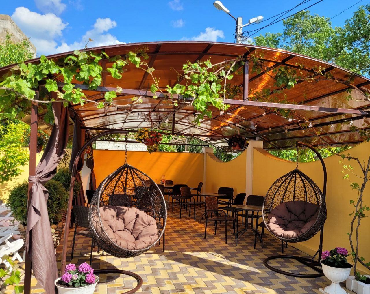 Фото Мандарин