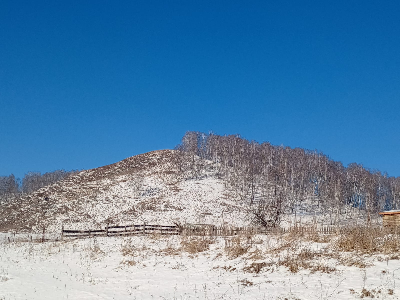 Фото Наш дом - Алтай