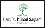 Dr Mursel Saglam Psychiatry Center (Istanbul, Beylikduzu, Baris Neighborhood, Necip Fazil Kisakurek Street, 2), psychiatric clinic