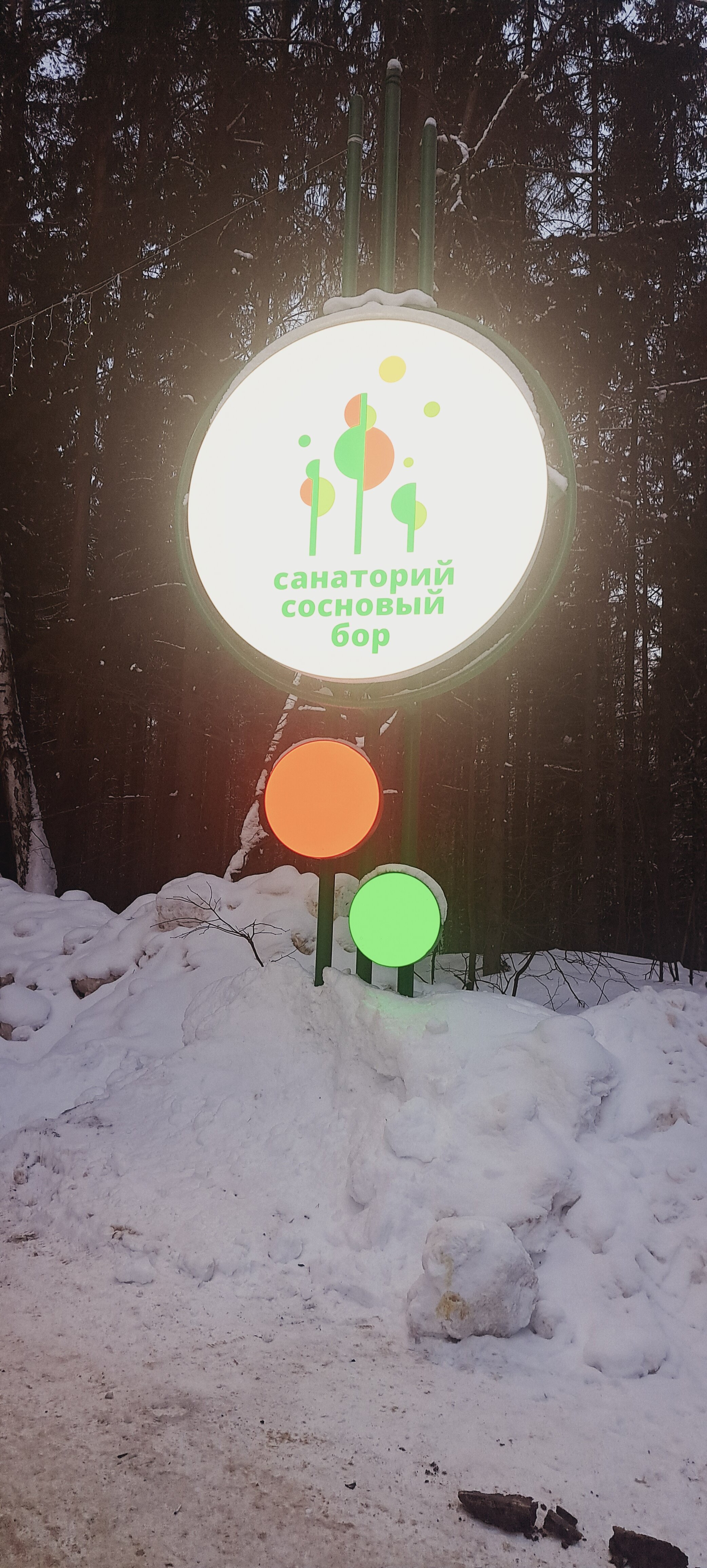 Фото Сосновый бор