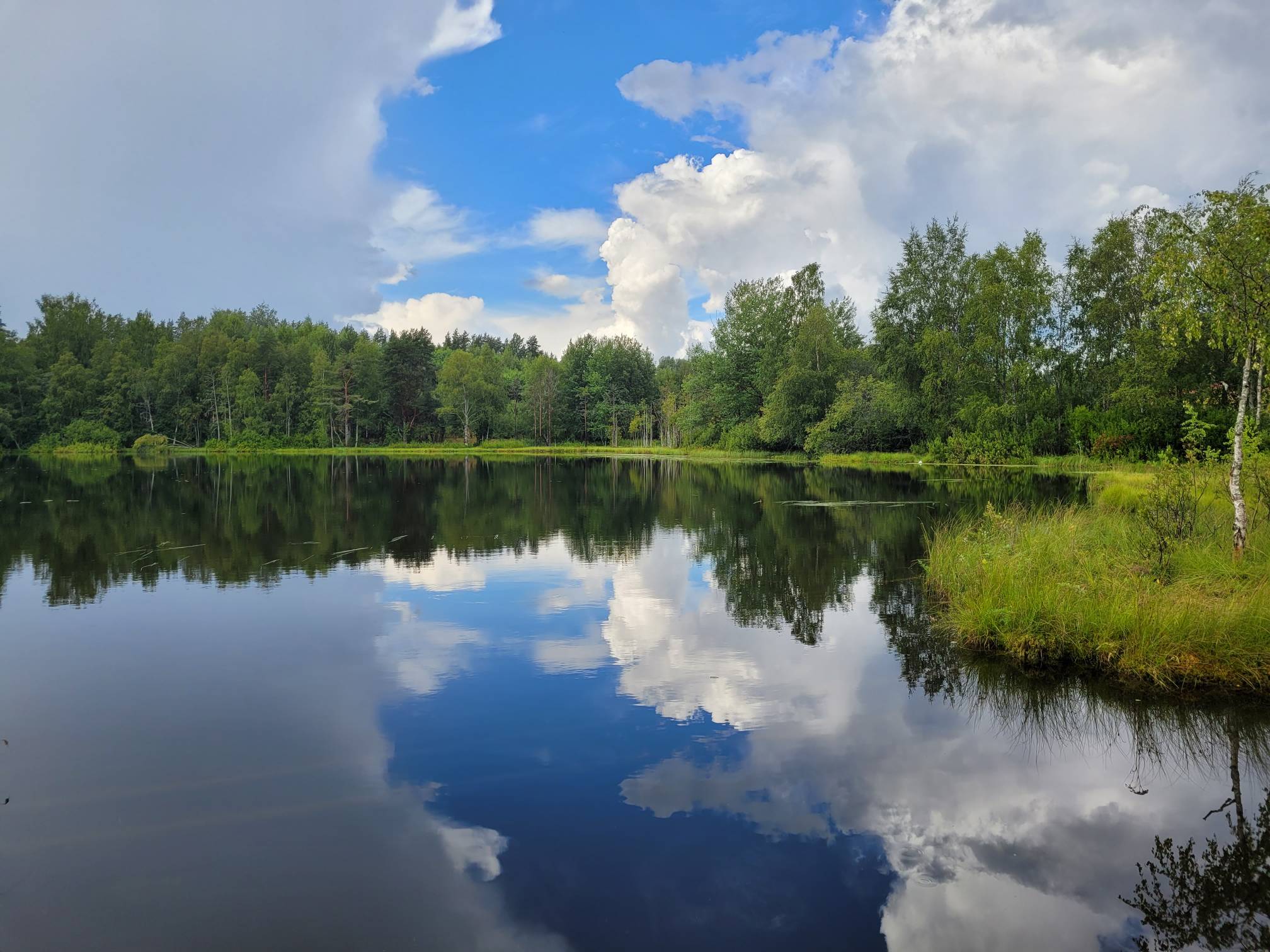 Фото Маро Лампи