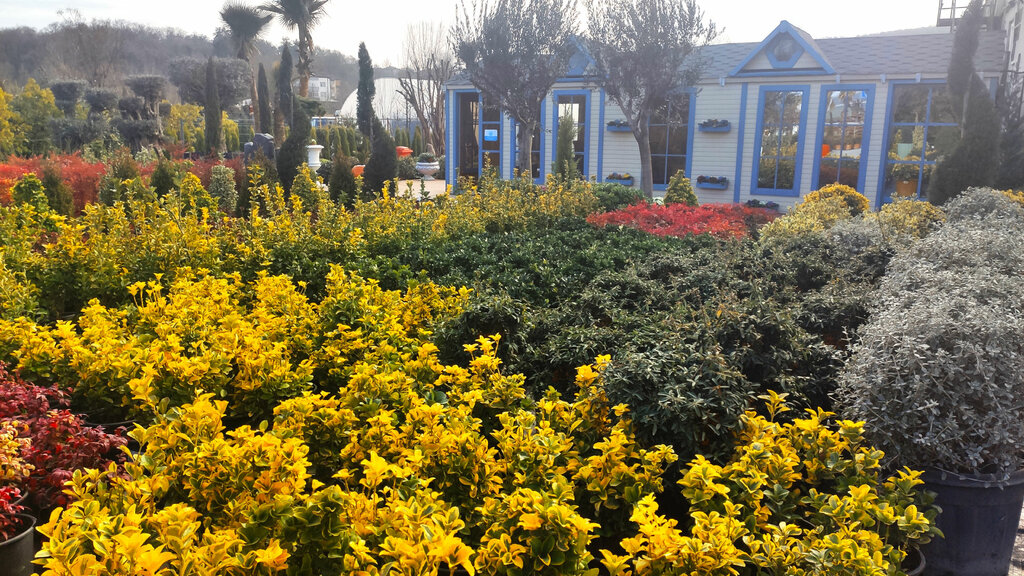 Gardening shop Bahçe Modası, Istanbul, photo