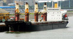 Ozay Ship Agency (Istanbul, Tuzla, Icmeler Neighborhood, Zinnur Street, 3/5), oficina de organización
