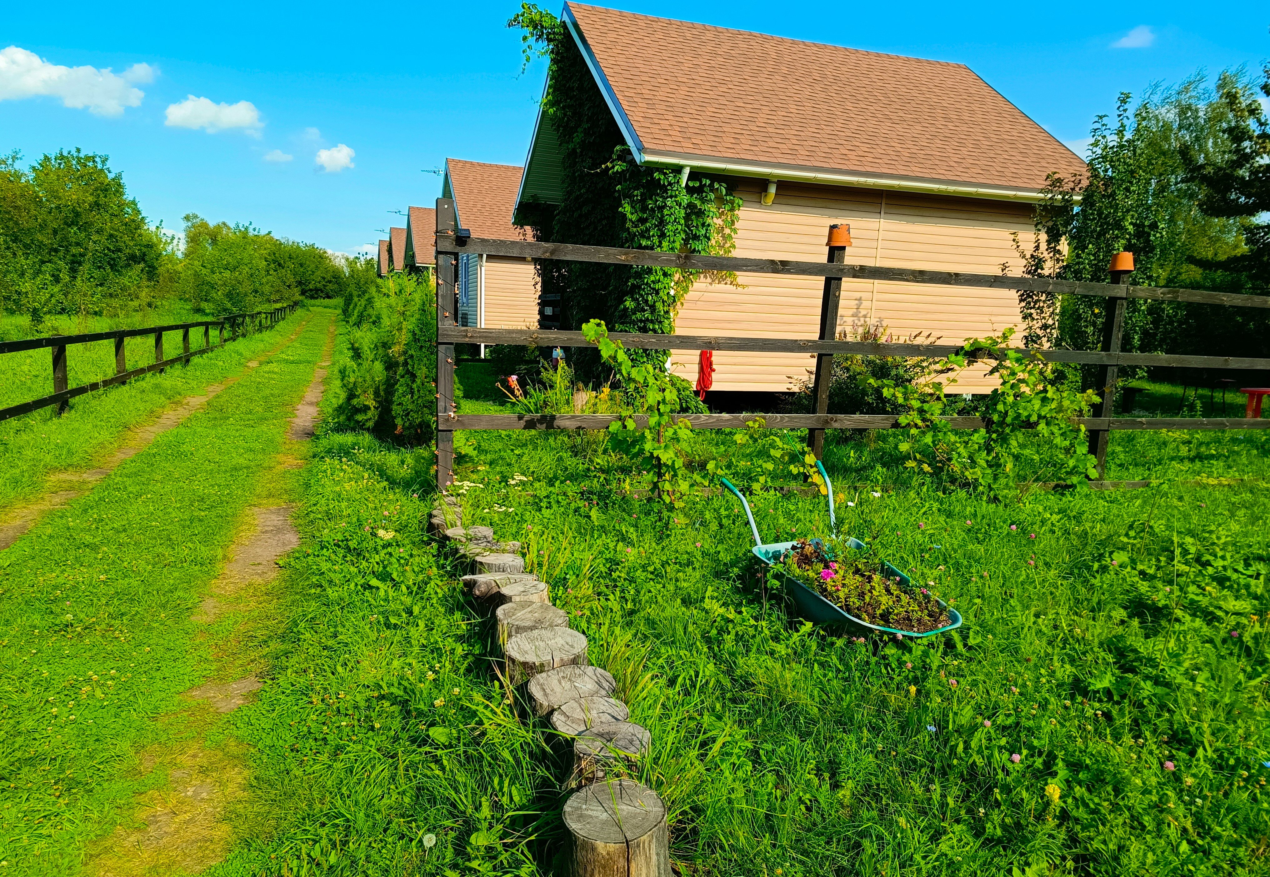 Фото Семейная история