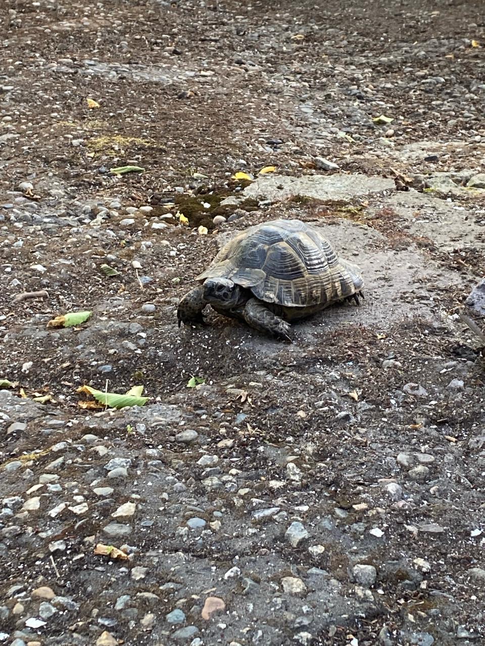 Фото Затерянный рай