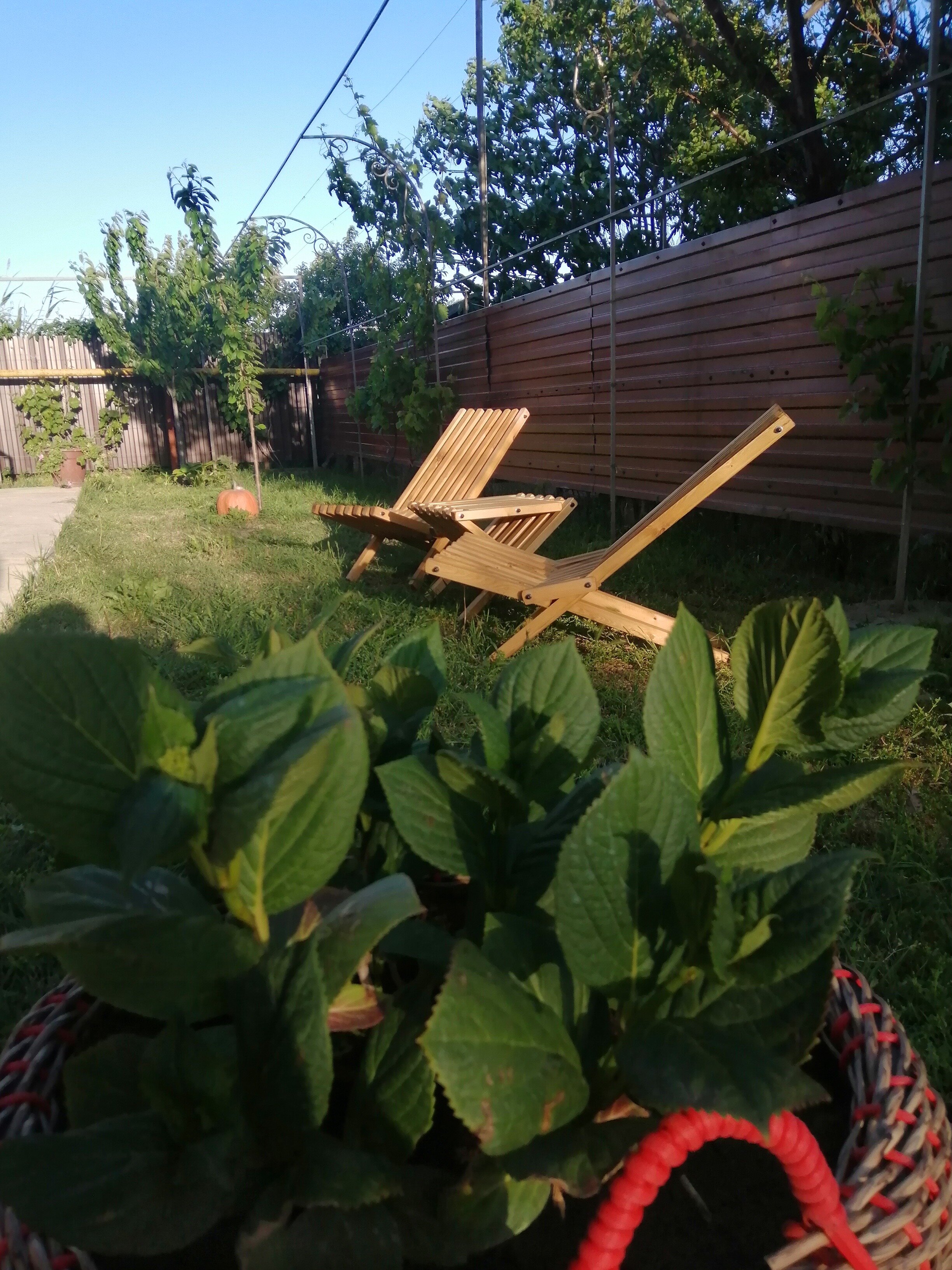 Фото Белая дача