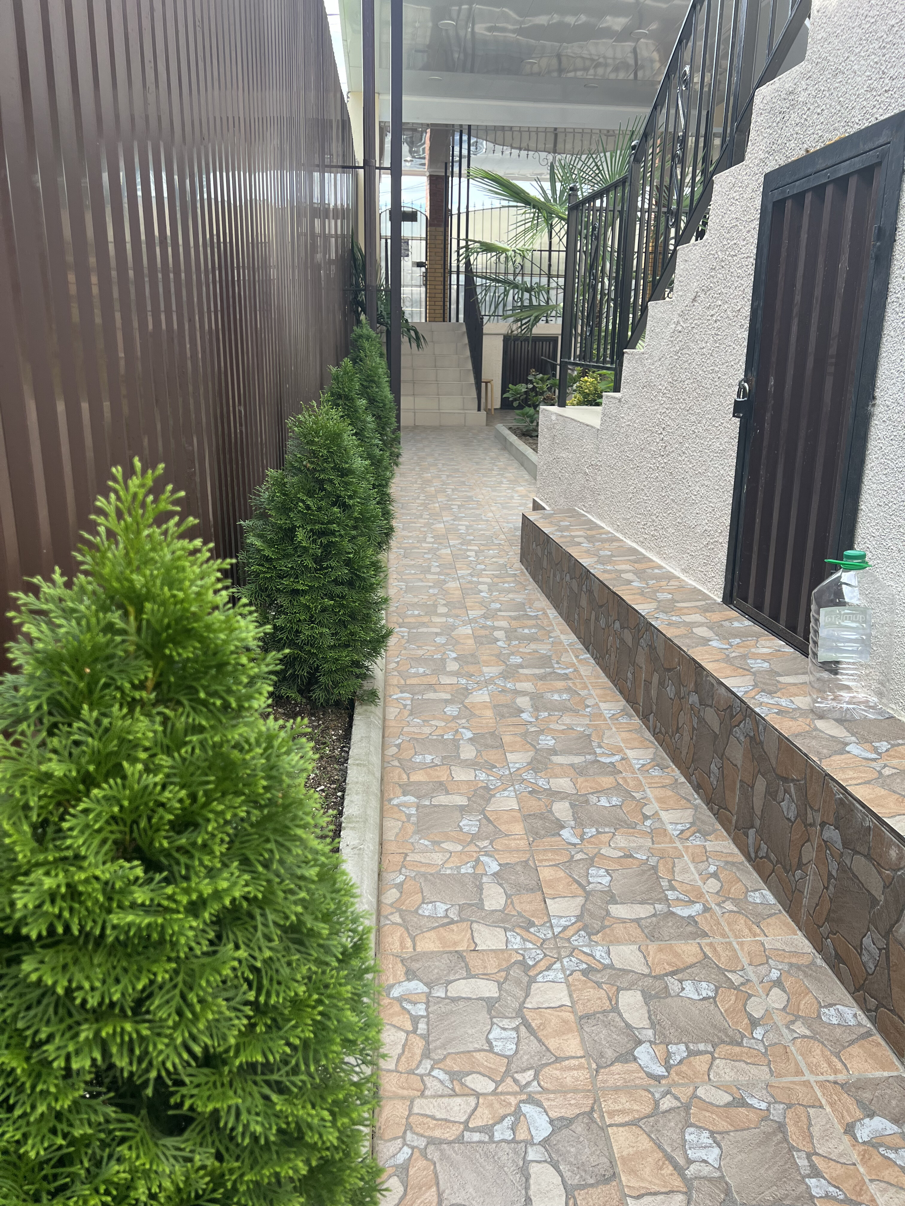 Фото Дельфин-море