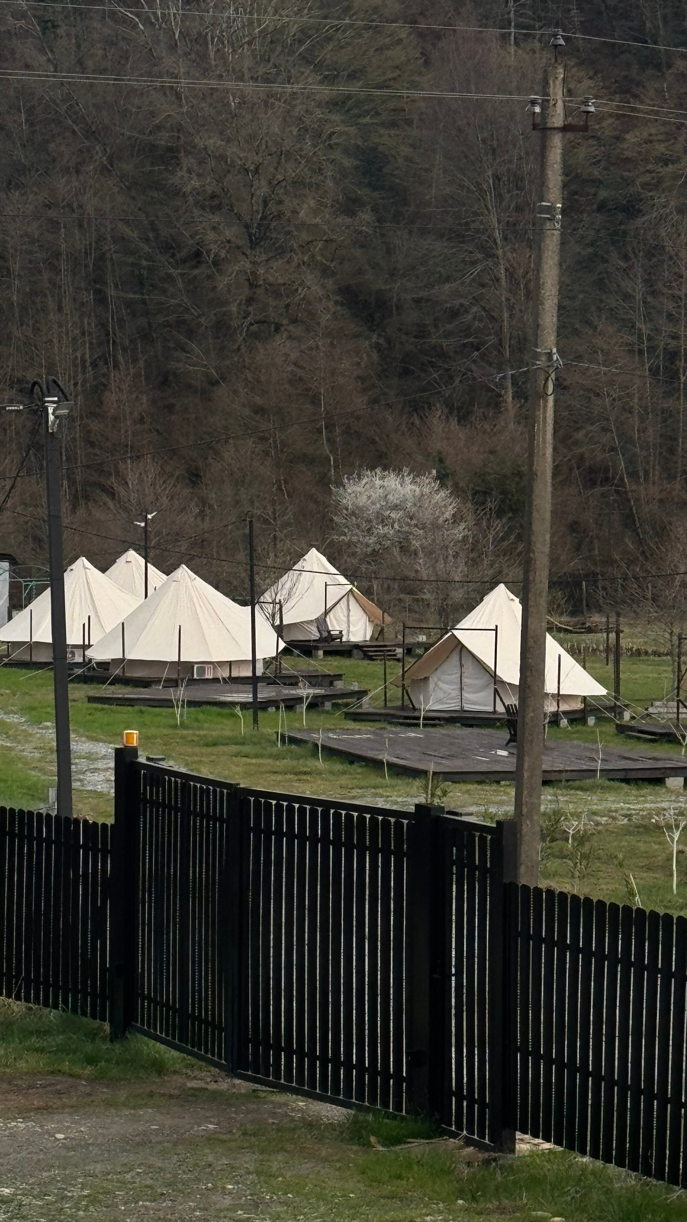 Фото Сад чудес