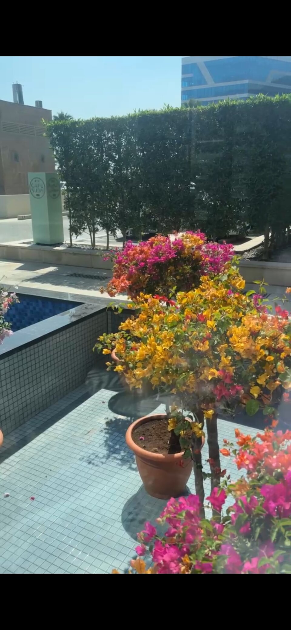 Фото Fairmont Bab Al Bahr Abu Dhabi