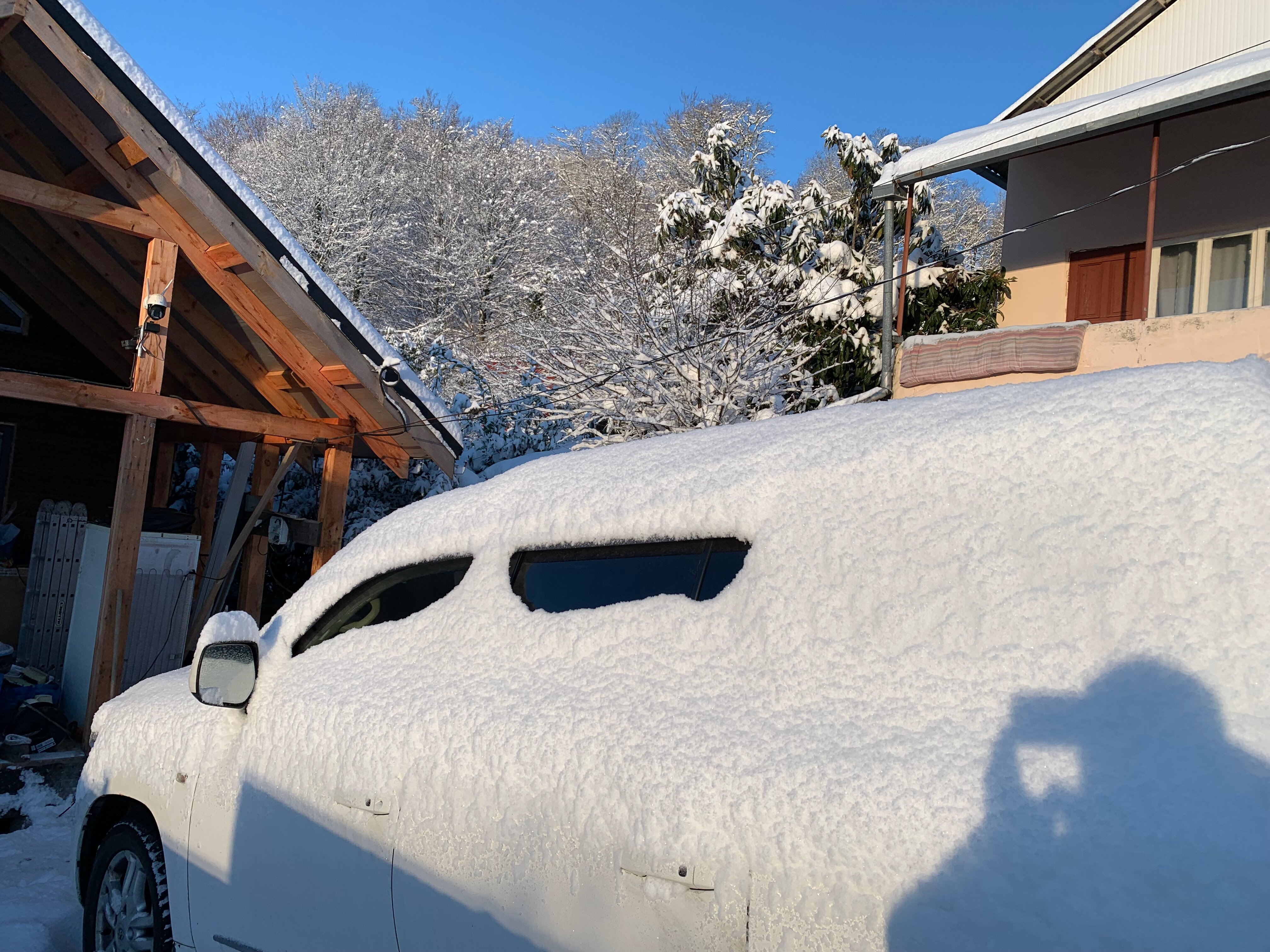 Фото Форелька