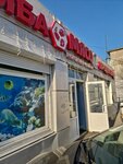 Чайка (Khabarovskaya Street, 19), grocery