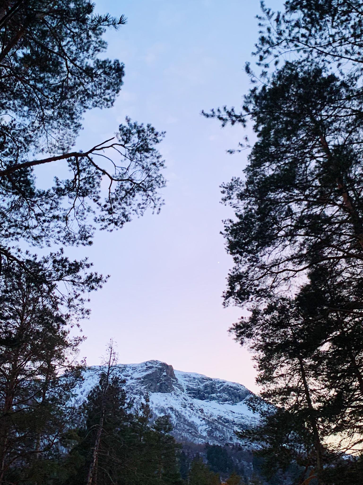 Фото Мераки