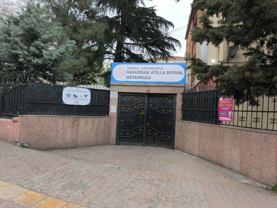 School Atilla Baykal Middle School, Istanbul, photo