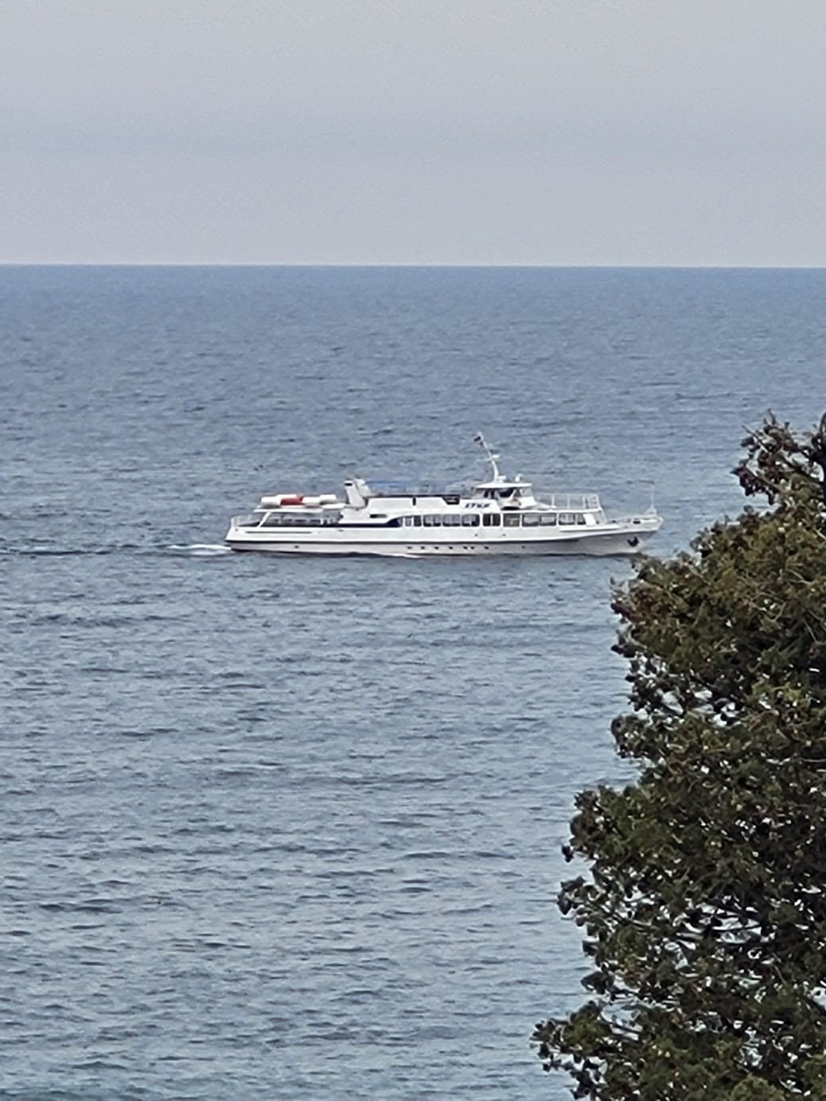 Фото На Дражинке