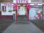 Fresh flowers and bouquets (Krasnodontsev Street, 23) ، محل زهور