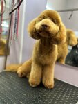 Lovely (Verkhniye Polya Street, 45к1), pet salon