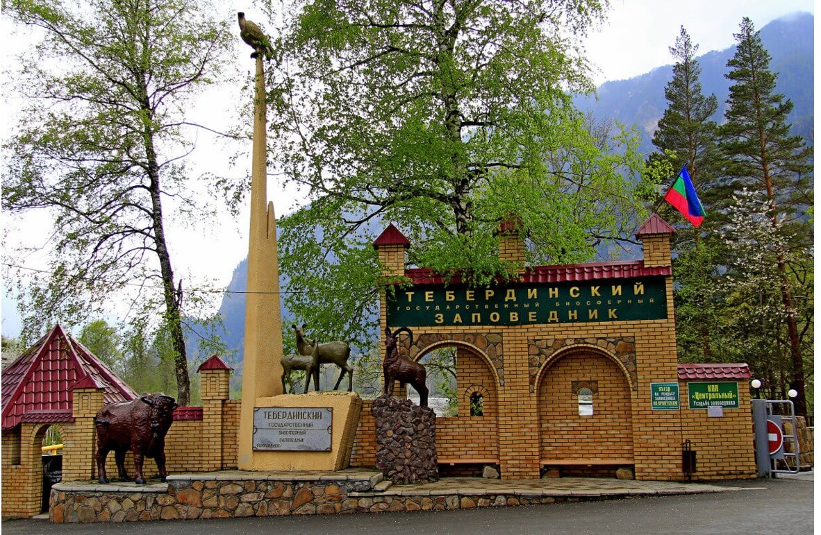 Фото Малинки