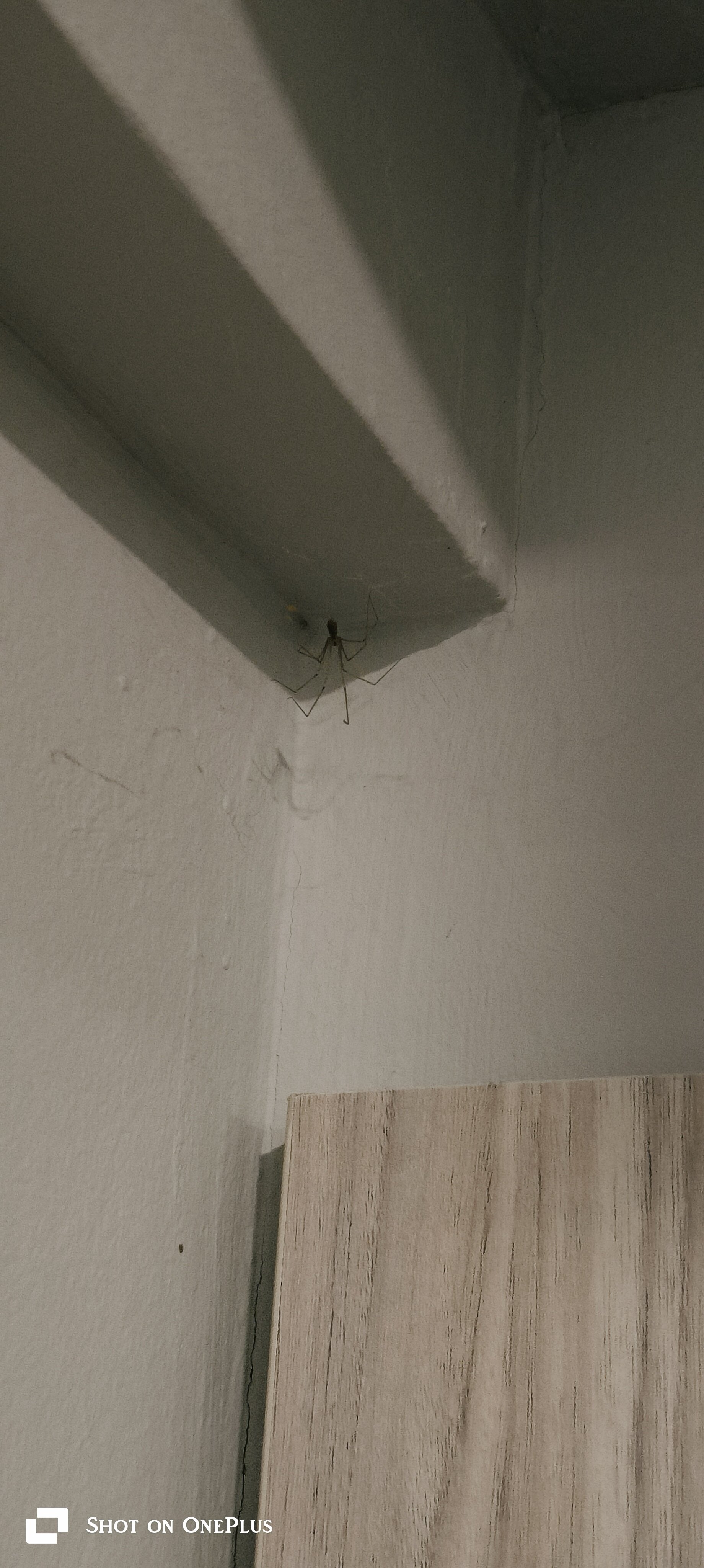 Фото Рэд Стрит