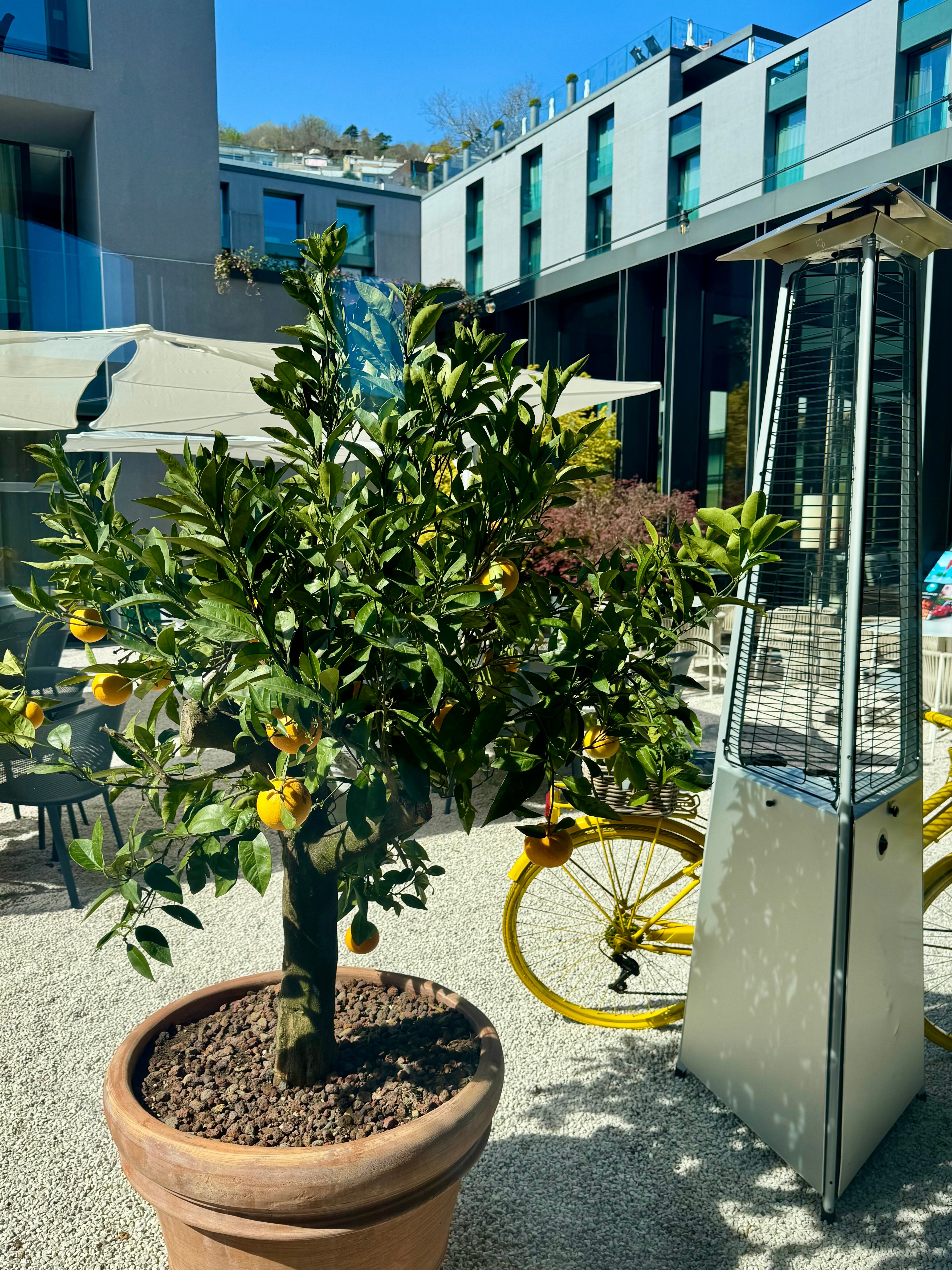 Фото Hilton Lake Como