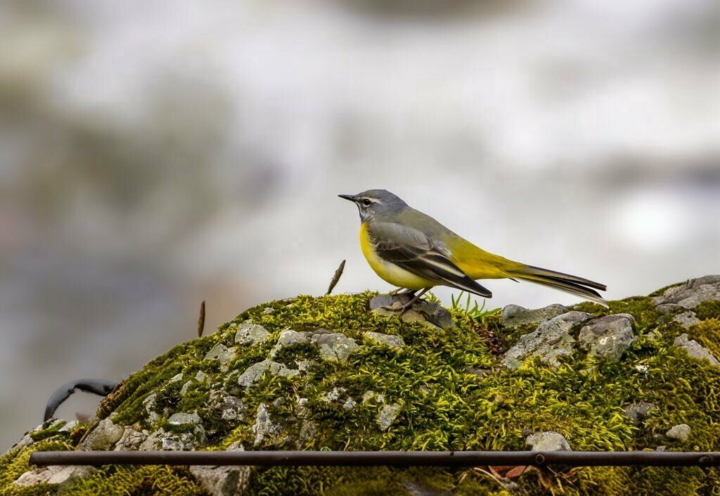 Observation deck Scenic Viewing Hill, Basiskele, photo