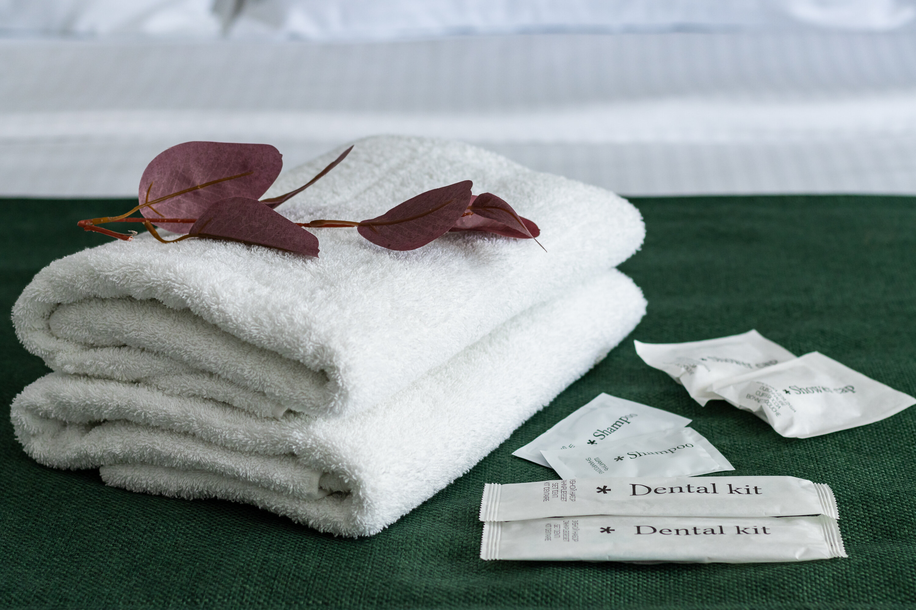 Фото Апартаменты Селект