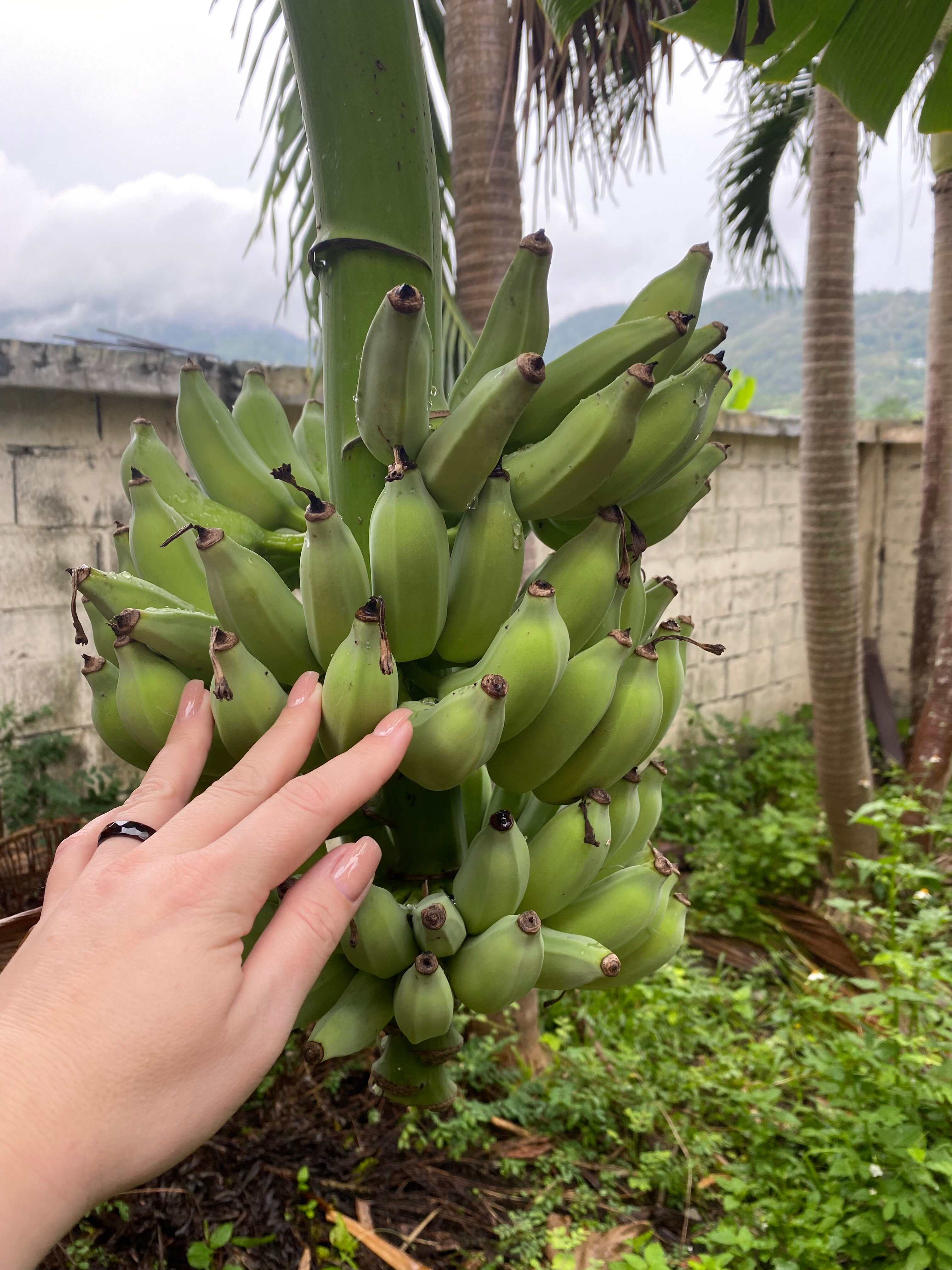 Фото Chivatara Resort & SPA Bang Tao Beach Phuket