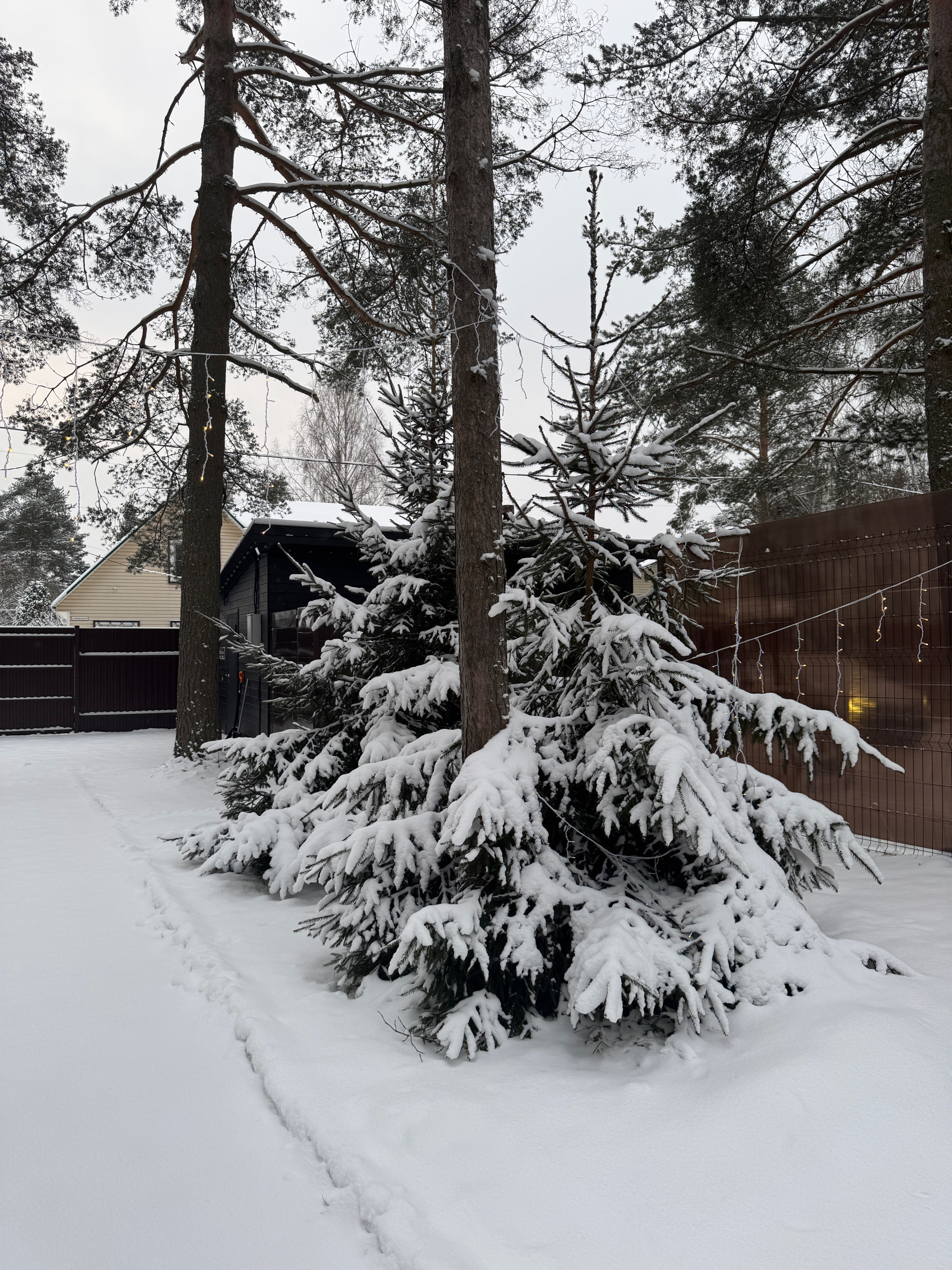 Фото Келколово