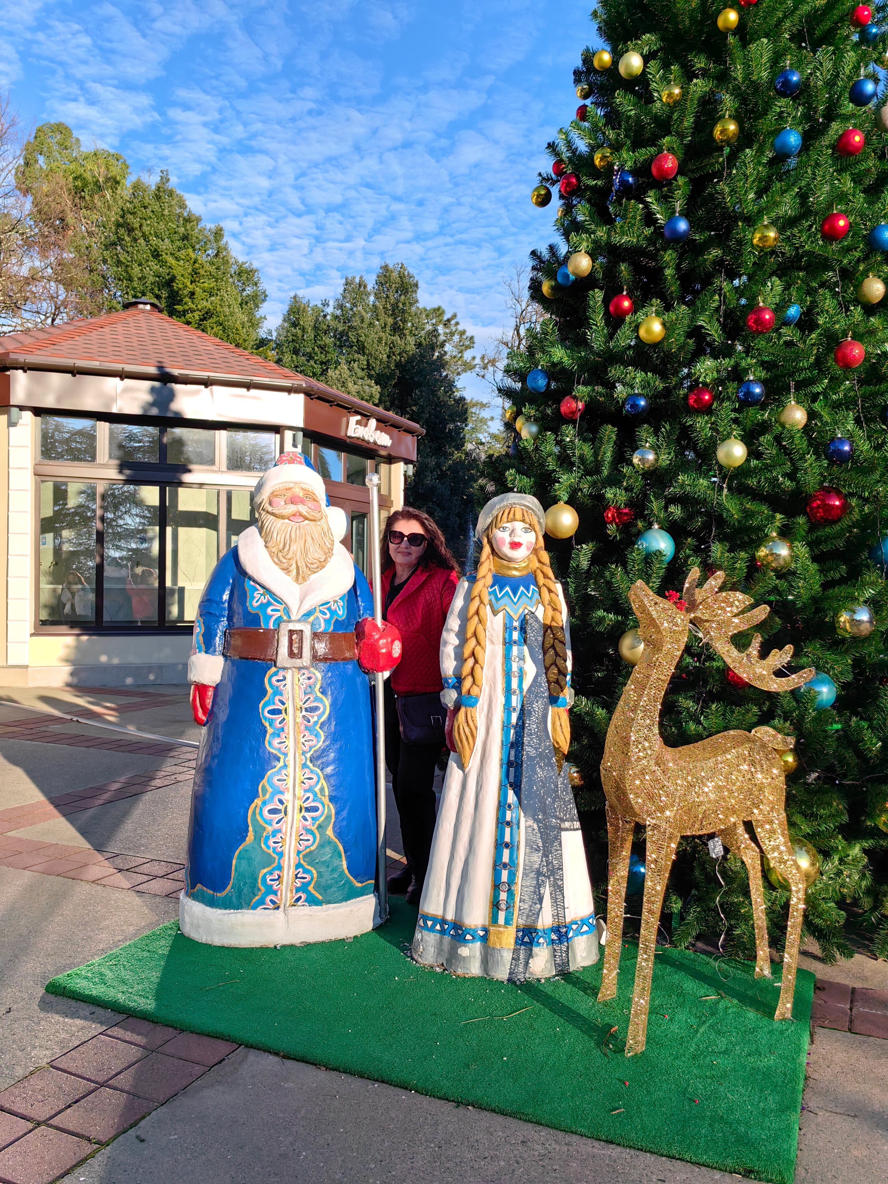 Фото Зелёная роща