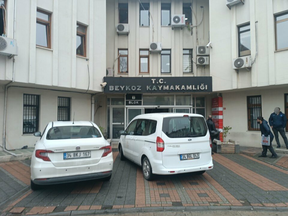 Centers of state and municipal services Istanbul Beykoz District Health Directorate, Istanbul, photo
