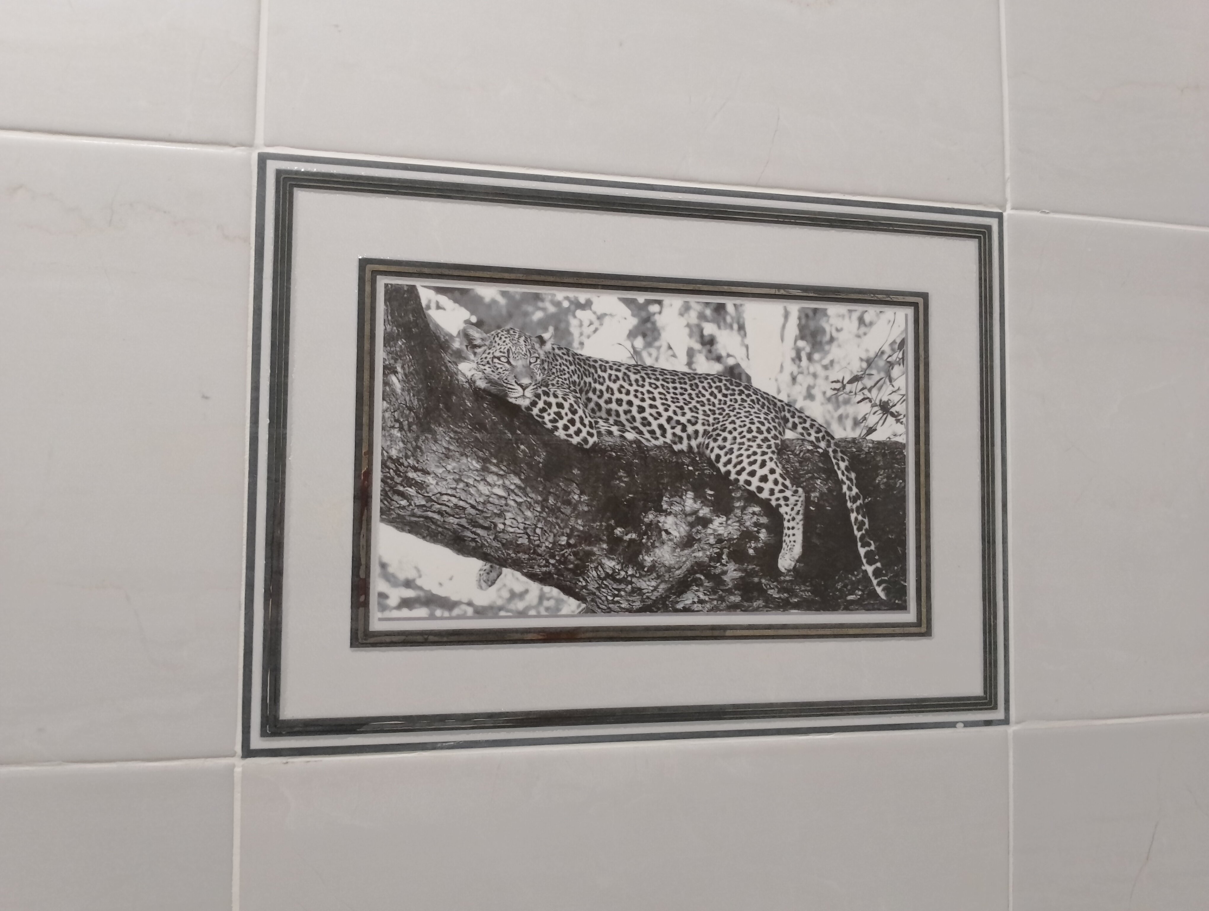 Фото Атлантида