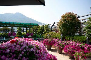 Гостиница Busan Beach Hotel Busan Songdo