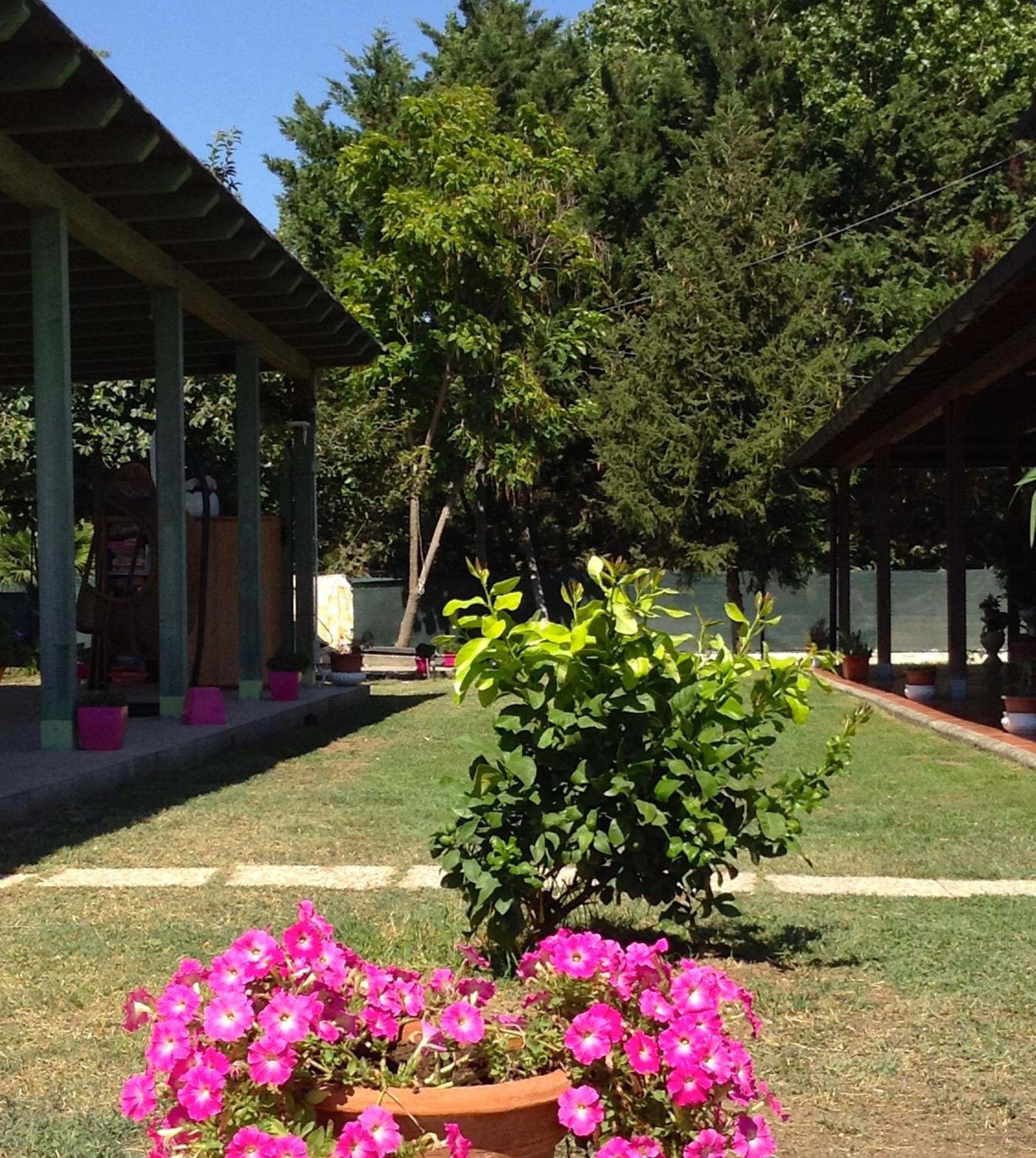 Фото Residenza Isabella