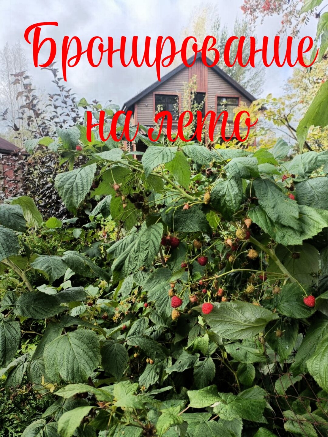 Фото Твой другой воздух - коттедж Юпитер