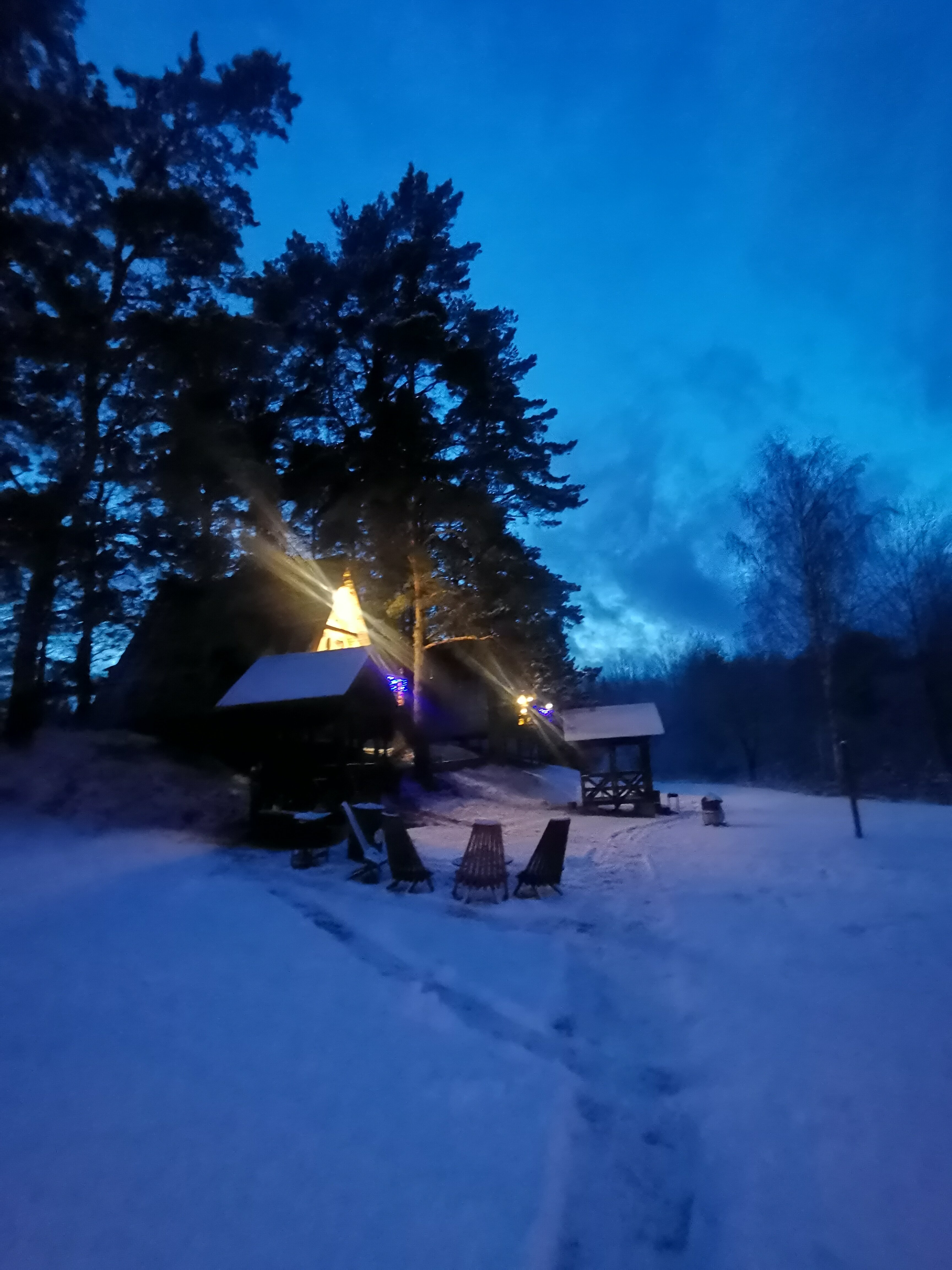 Фото Елки-палки