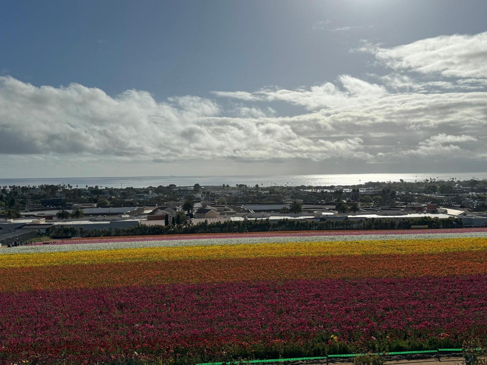 Фото Holiday Inn Express Hotel & Suites Carlsbad Beach, an Ihg Hotel