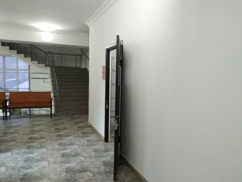 Менің ең жақсы досымның шұлықтағы суреті