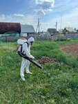 Дезинфектор (Bebelya Street, 17), desinfección, desinsectación, desratización
