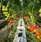 Fipa Ekolojik (Antalya, Kepez, Gaziler Mah., 250. Sok., 1J), agricultural enterprise