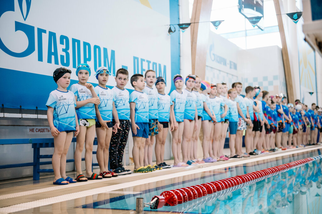 Swimming school Дельфин, Tula Oblast, photo