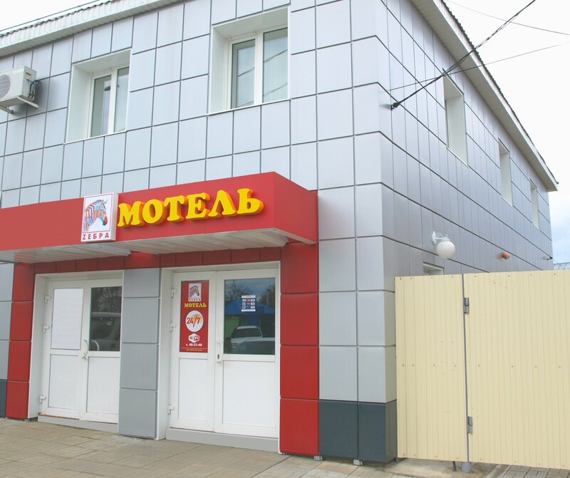Зебра — фото 20