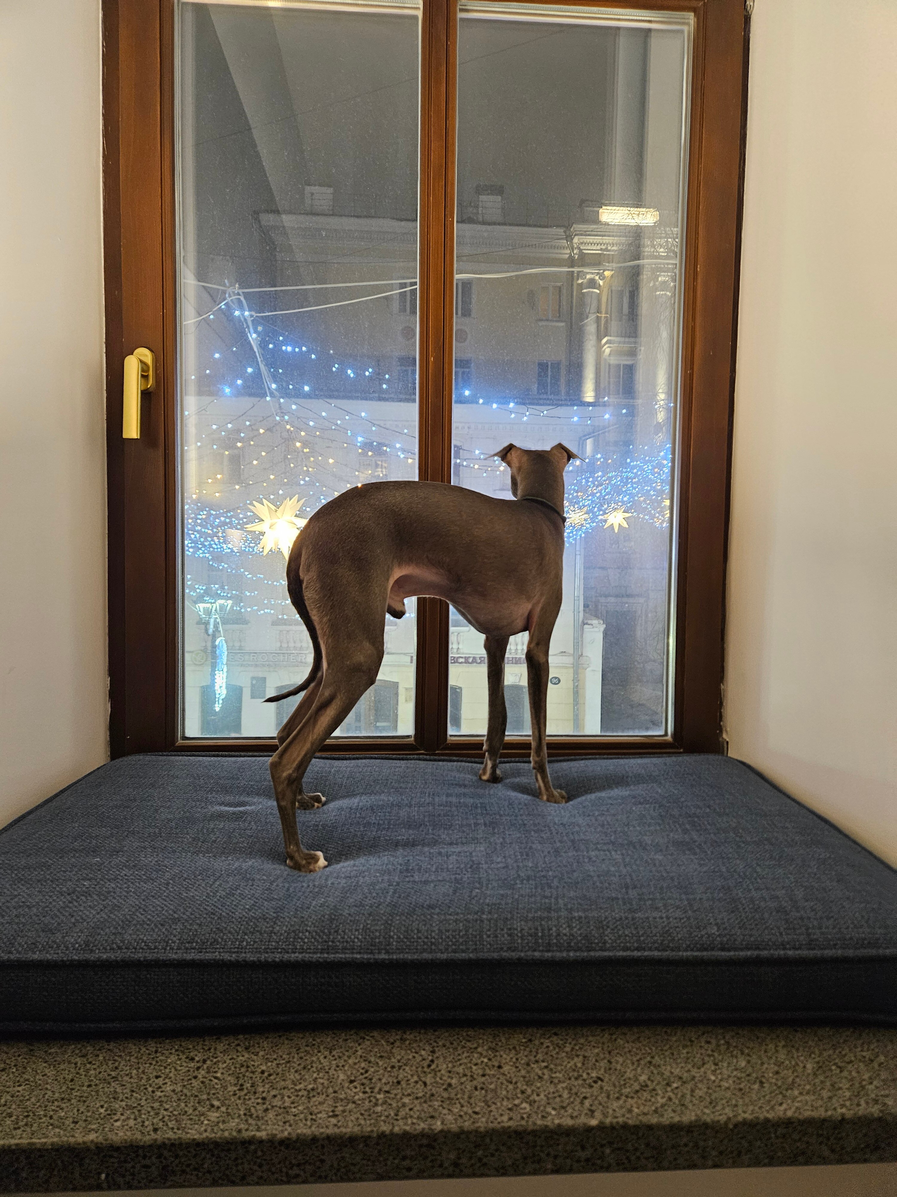 Фото bobo st.art.hotel Nizhniy Novgorod