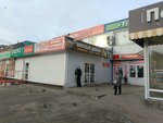 Novatsiya (Kamyshinskaya Street, 40), windows