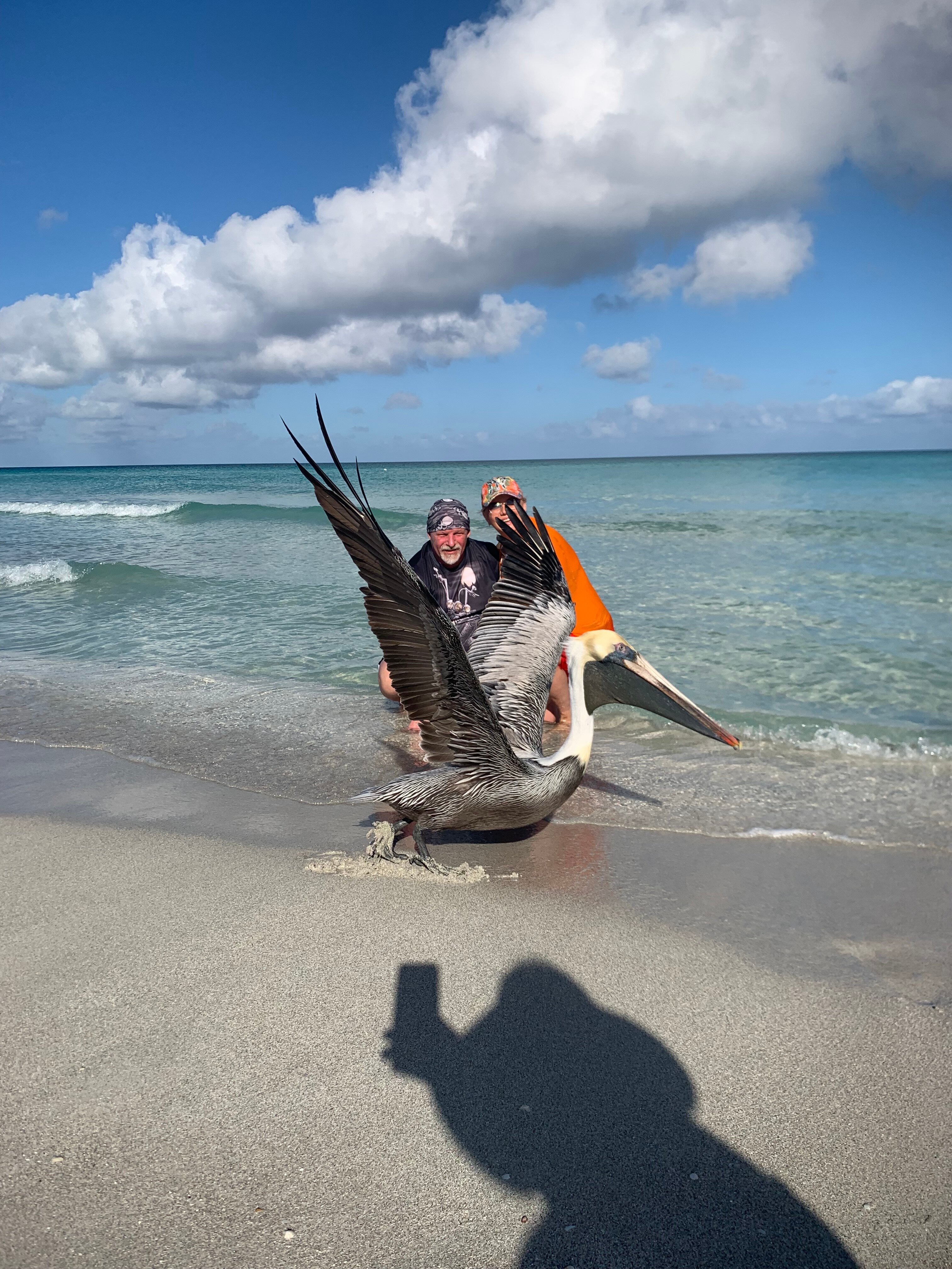 Фото Brisas del Caribe