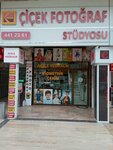 Chichek Photography (Ankara Province, Cankaya District, Turan Gunes Boulevard, 32), photography