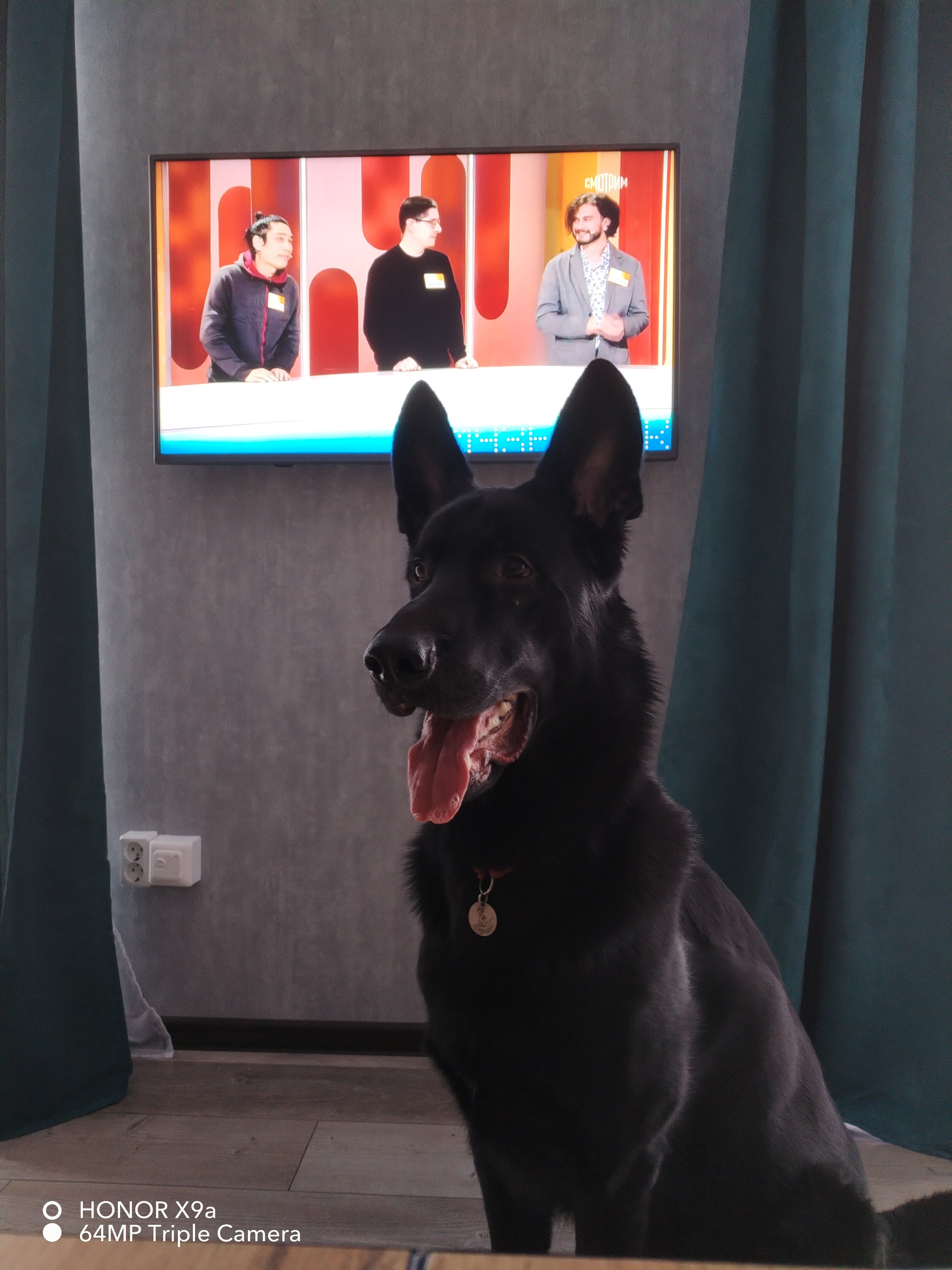 Фото Сканди куб