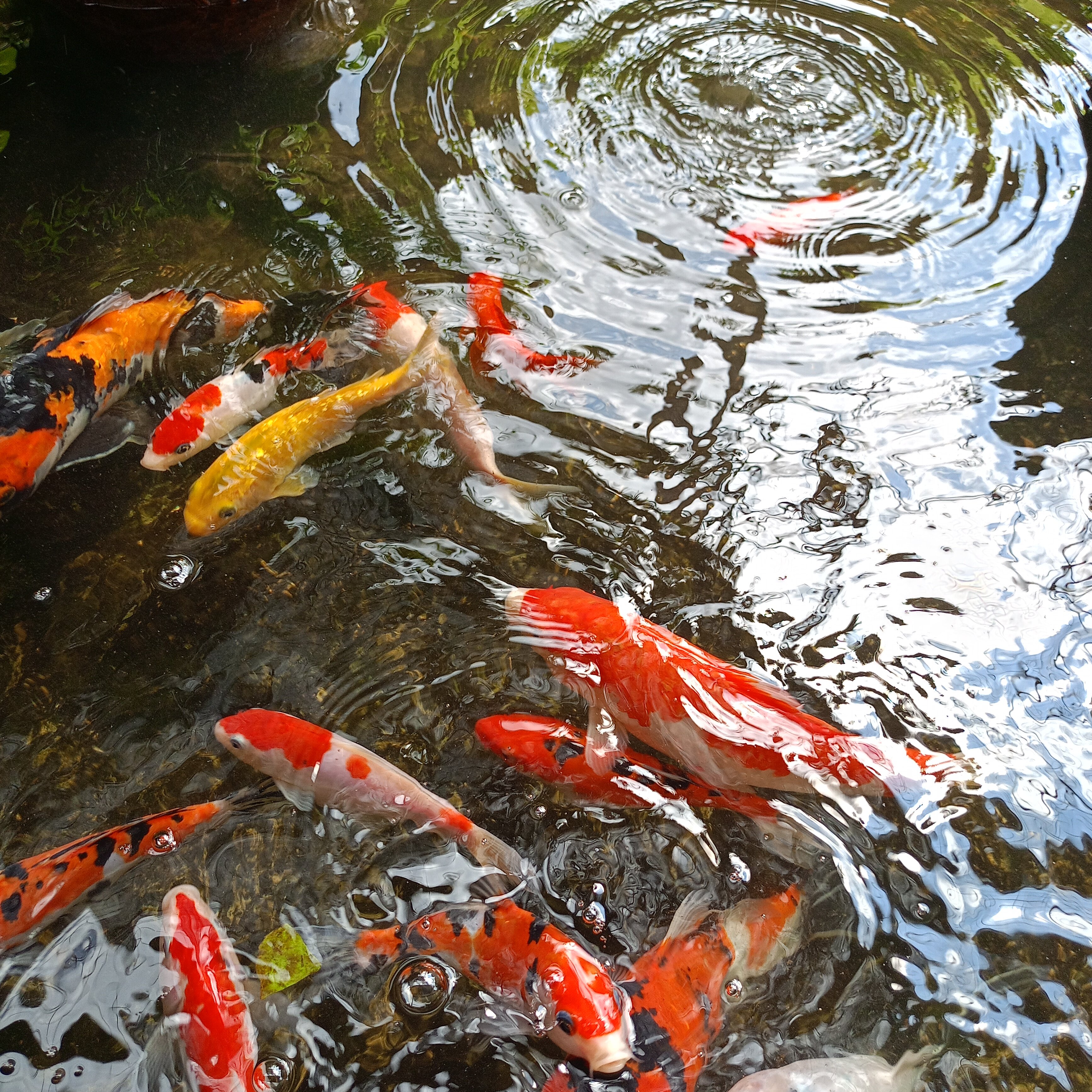 Фото The Grand Bali Nusa Dua