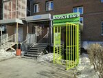 Barki club (ulitsa Lermontova, 275/17), cursos de idiomas extranjeros