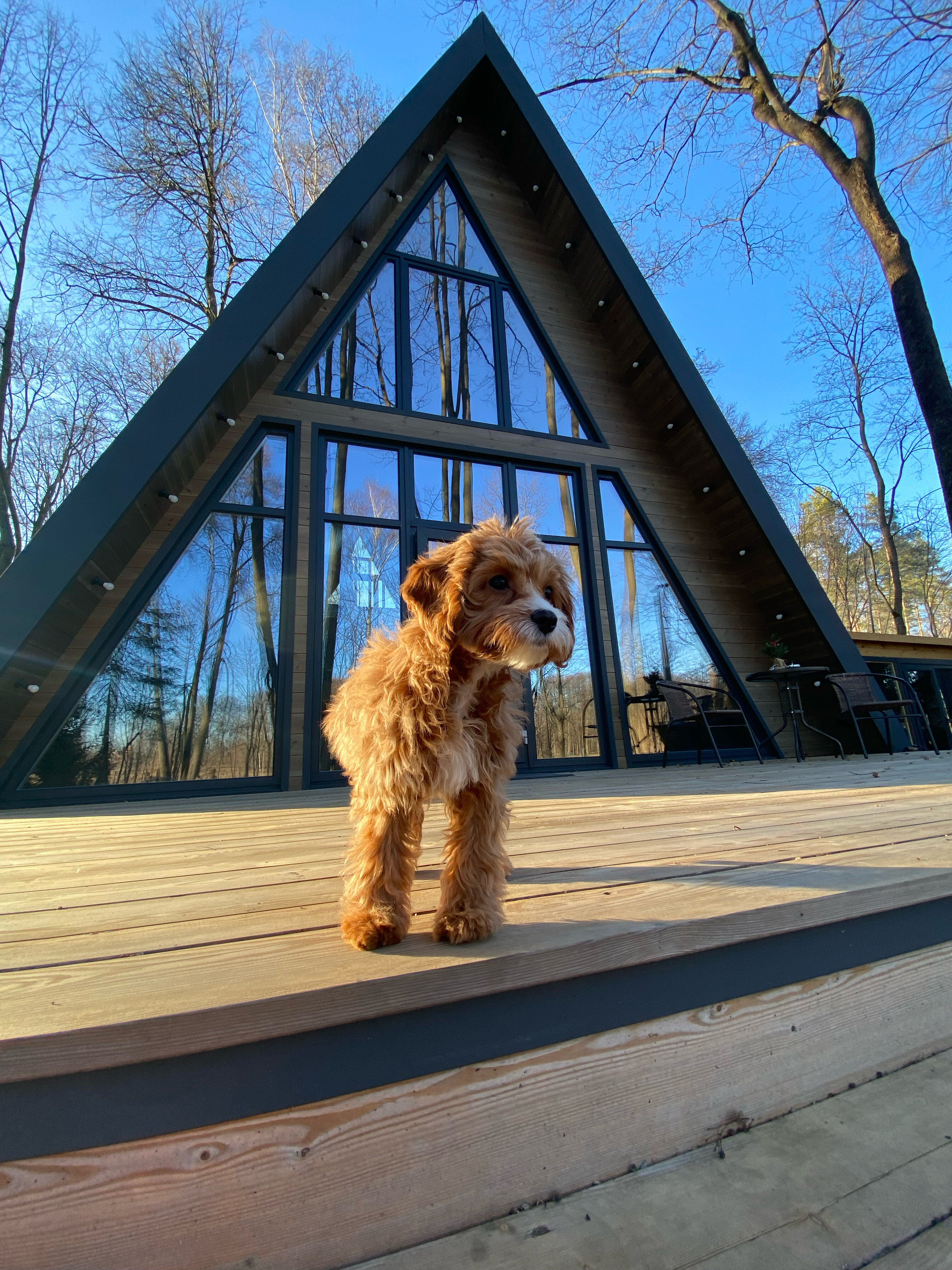 Фото Берега