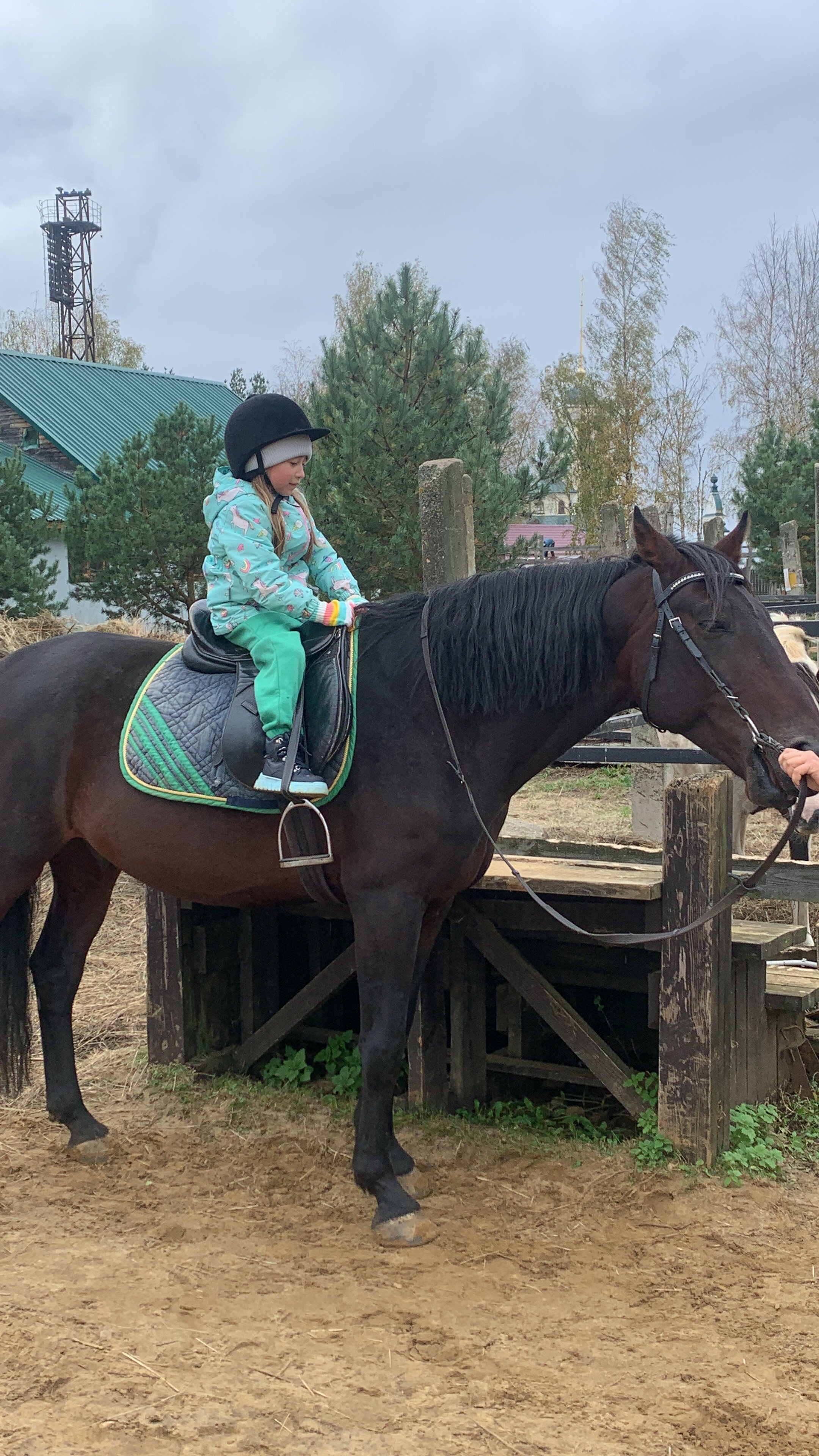 Фото Дом в Бородино